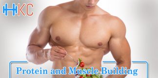 Protein and Muscle Building