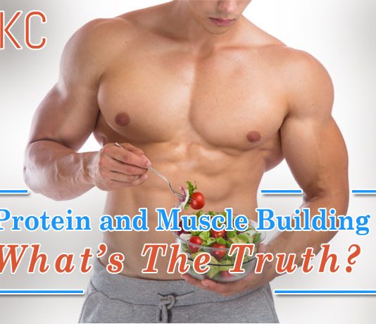 Protein and Muscle Building