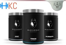 BlackWolf Review