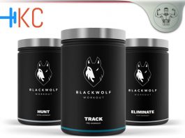 BlackWolf Review