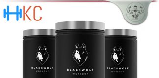 BlackWolf Review