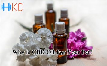 Why is CBD Oil For Your Pet