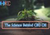 Science Behind CBD Oil