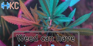 Weed Benefits