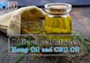 Difference Between Hemp Oil and CBD Oil