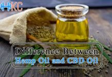 Difference Between Hemp Oil and CBD Oil