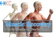 Muscle Recovery