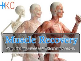 Muscle Recovery