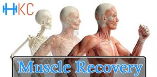 Muscle Recovery