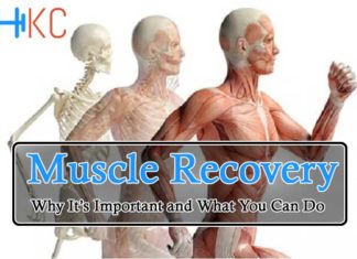 Muscle Recovery