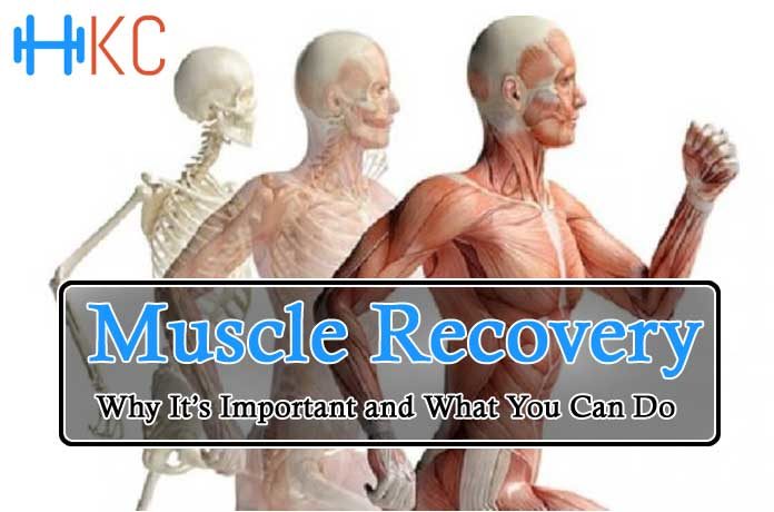 Muscle Recovery