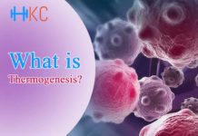 What is Thermogenesis