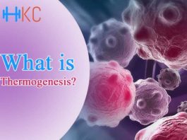 What is Thermogenesis