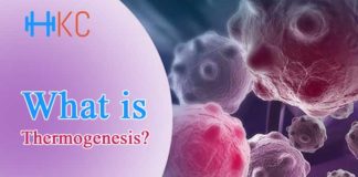 What is Thermogenesis